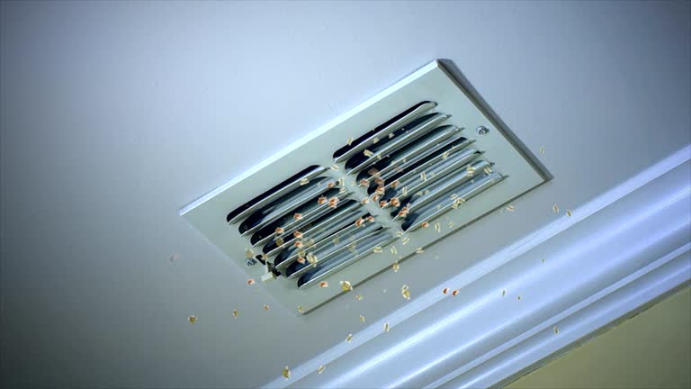 Best Air Duct Cleaning Near Me  in Frederickson, WA